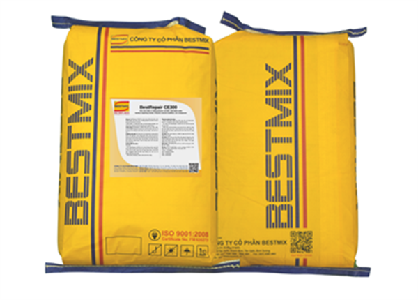 BestRepair CE300 